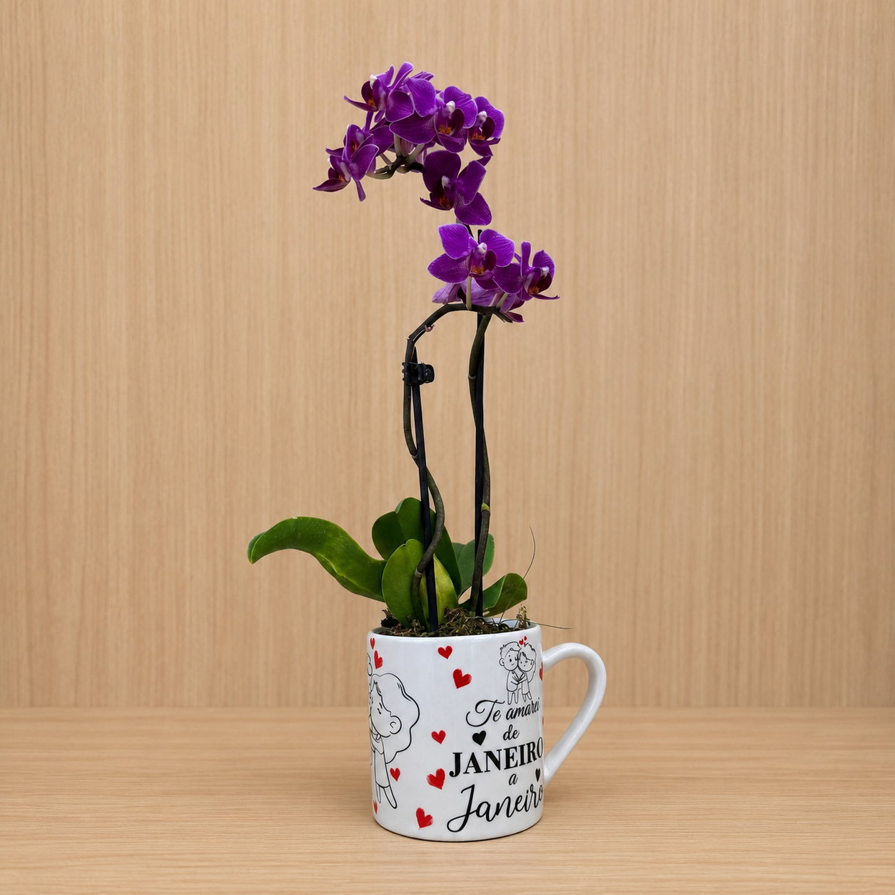 Mini Orquidea
