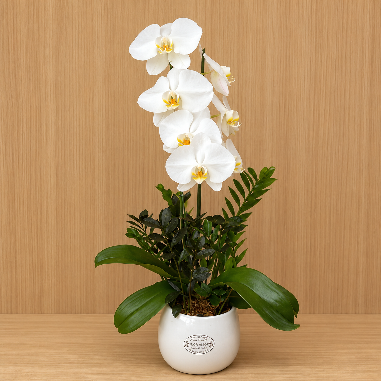 Orquidea Branca