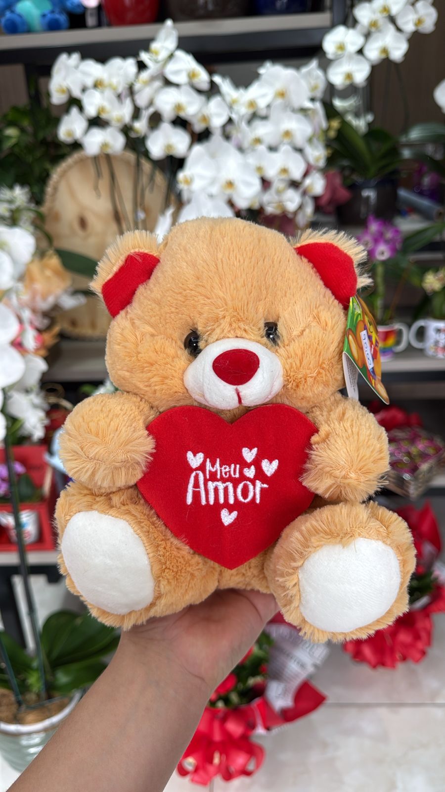 Pelúcia Urso Bege Médio